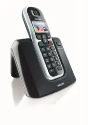 Philips DECT5221B/24