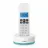 Philips D1611T/34