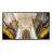 Samsung QB43N