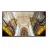 Samsung QB65N